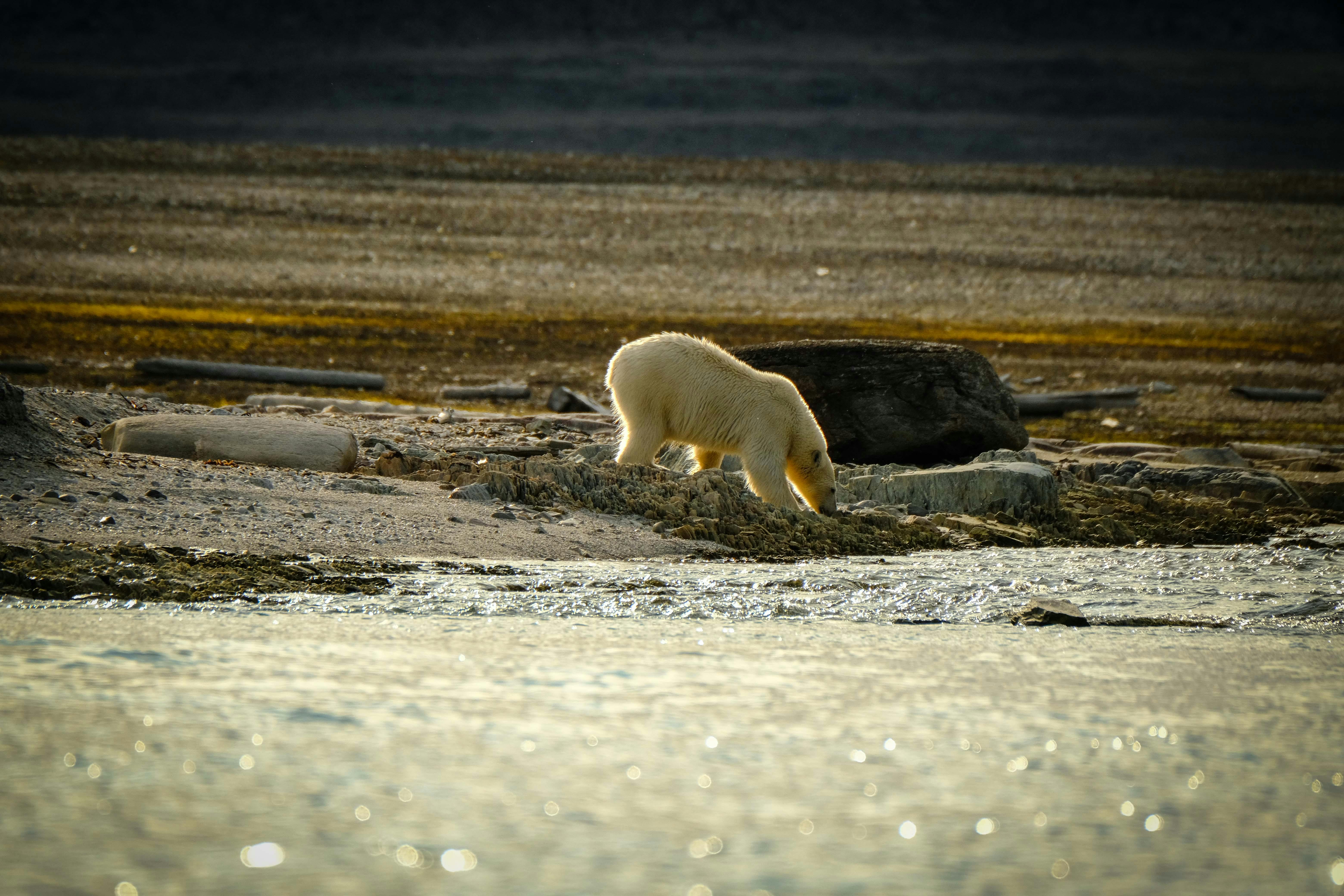 Polar expedition training